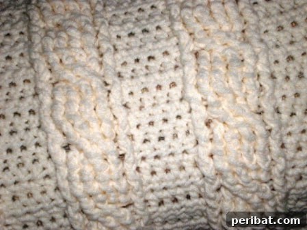 Kickstart Your Yarn Journey: 30 Simple Knit & Crochet Patterns 24 Crochet Cable Baby Blanket - Intermediate Beginner Crochet Project