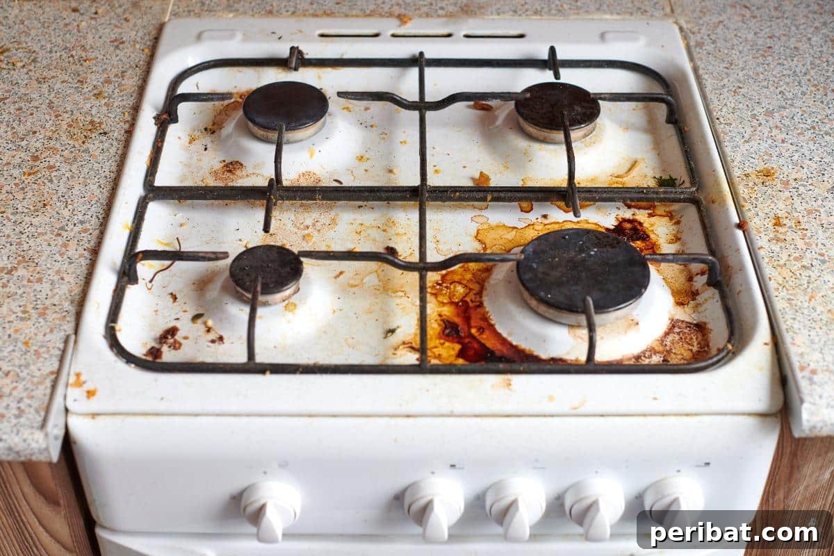 Beyond the Bin: 20 Brilliant Ways to Repurpose Fruit and Vegetable Peels 15 A greasy stovetop.