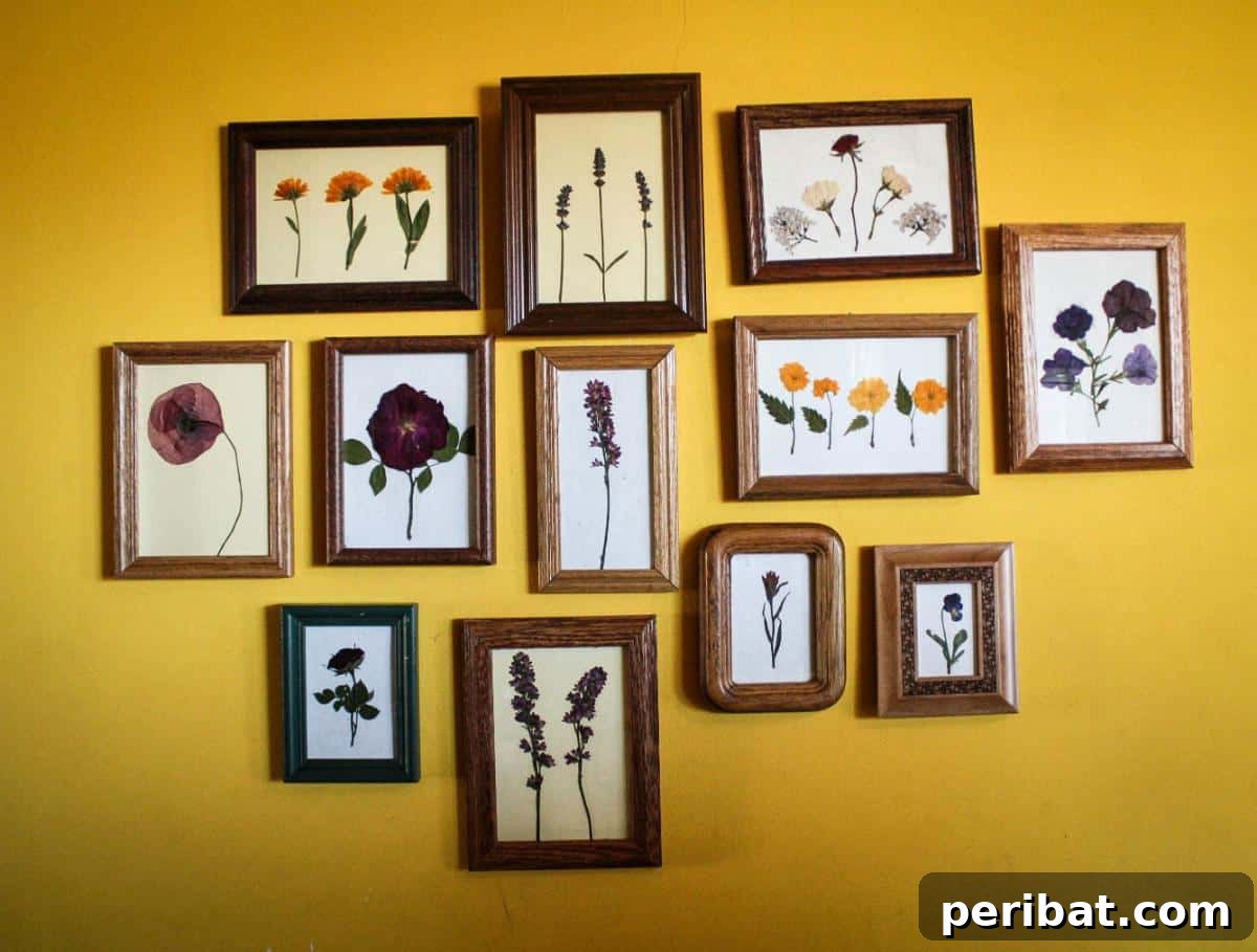Pressed Flower Art: Elegant DIY Display Ideas 2 Beautiful DIY Way to Display Pressed Flowers