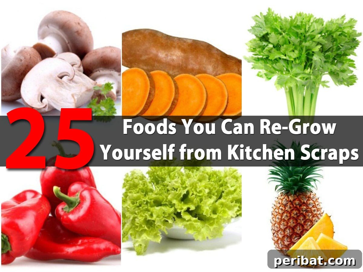 Turn Scraps Into Staples Your Guide To Regrowing Food 2 Regrowing fresh produce from kitchen scraps