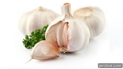 Turn Scraps Into Staples Your Guide To Regrowing Food 11 Garlic clove sprouting in soil