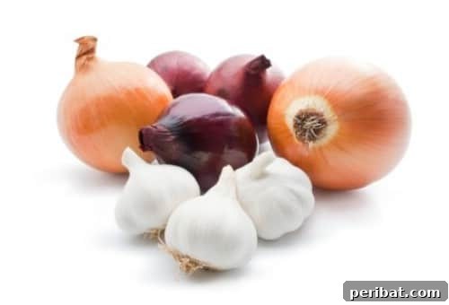 Turn Scraps Into Staples Your Guide To Regrowing Food 12 Onion base sprouting green tops