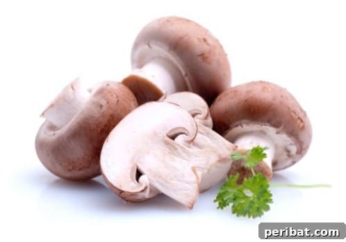 Turn Scraps Into Staples Your Guide To Regrowing Food 14 Mushroom stems sprouting in soil