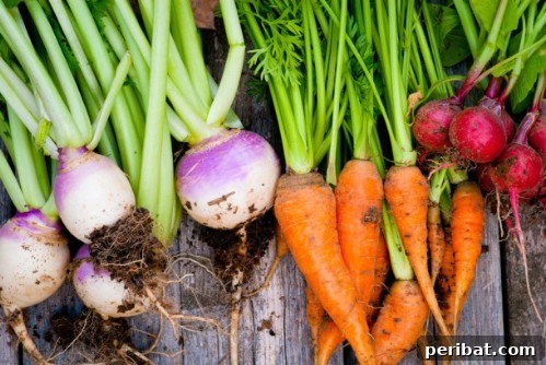 Turn Scraps Into Staples Your Guide To Regrowing Food 20 Turnip tops sprouting new greens in water