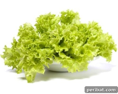 Turn Scraps Into Staples Your Guide To Regrowing Food 3 Regrowing lettuce from a kitchen scrap