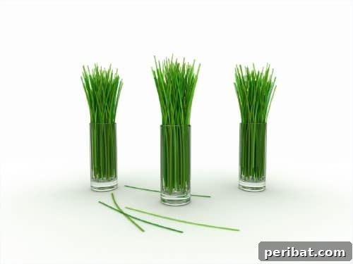 Turn Scraps Into Staples Your Guide To Regrowing Food 4 Regrowing lemongrass from a stalk