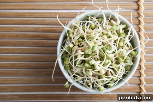 Turn Scraps Into Staples Your Guide To Regrowing Food 5 Growing bean sprouts in a jar
