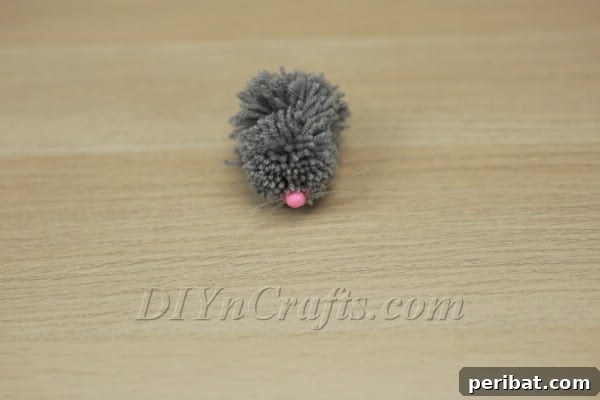 Close-up of whiskers being arranged on the nose bead