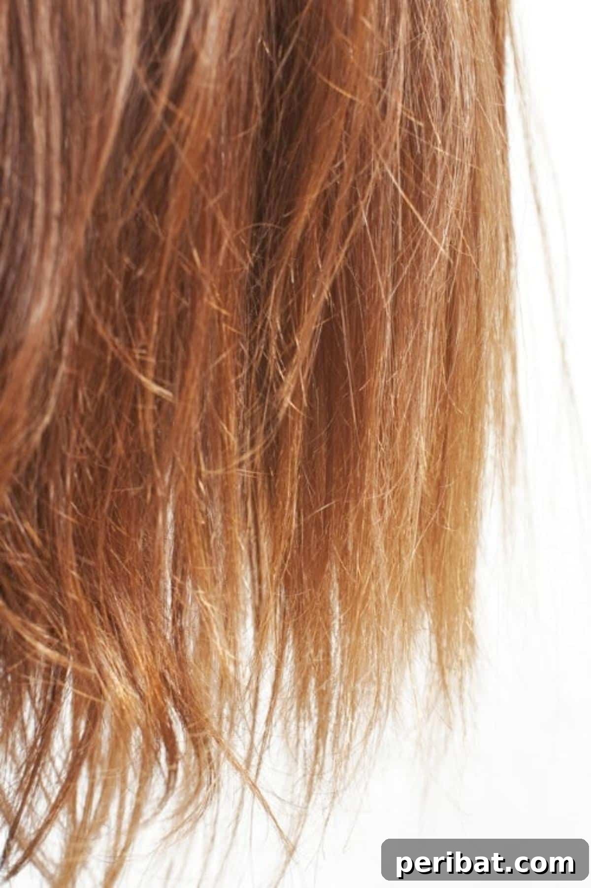 Hair with visible split ends, showing the need for repair and prevention