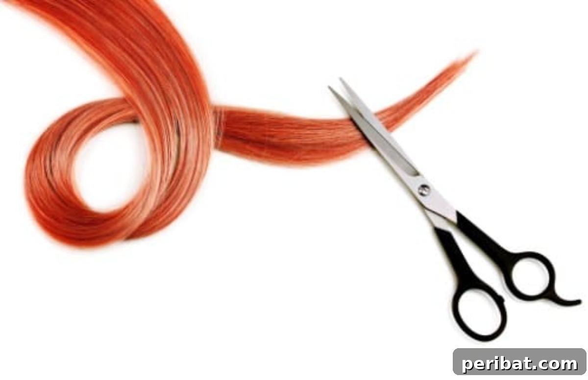 Scissors being lubricated with castor oil for smooth operation