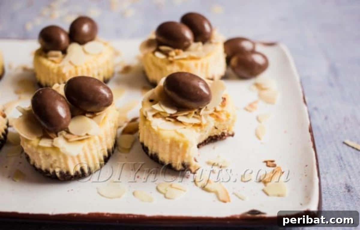 Easter Almond and Choco Bon Mini Cheesecakes 4 Array of Mini Cheesecakes with Various Toppings