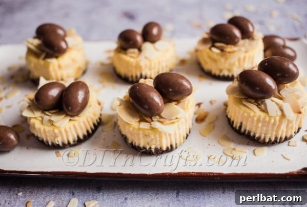 Easter Mini Cheesecakes With Almonds and Choco Bons