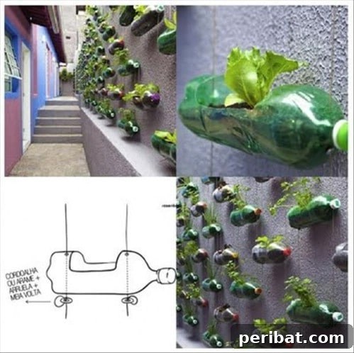 Wall Garden - Fun and Creative Crafts with Plastic Soda Bottles