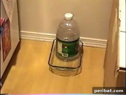 Automatic Pet Water Dispenser - Fun and Creative Crafts with Plastic Soda Bottles