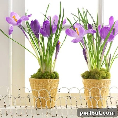 105 Creative DIY Easter Decor Ideas 24 Potted Plant Décor - Create a Window Garden for Easter