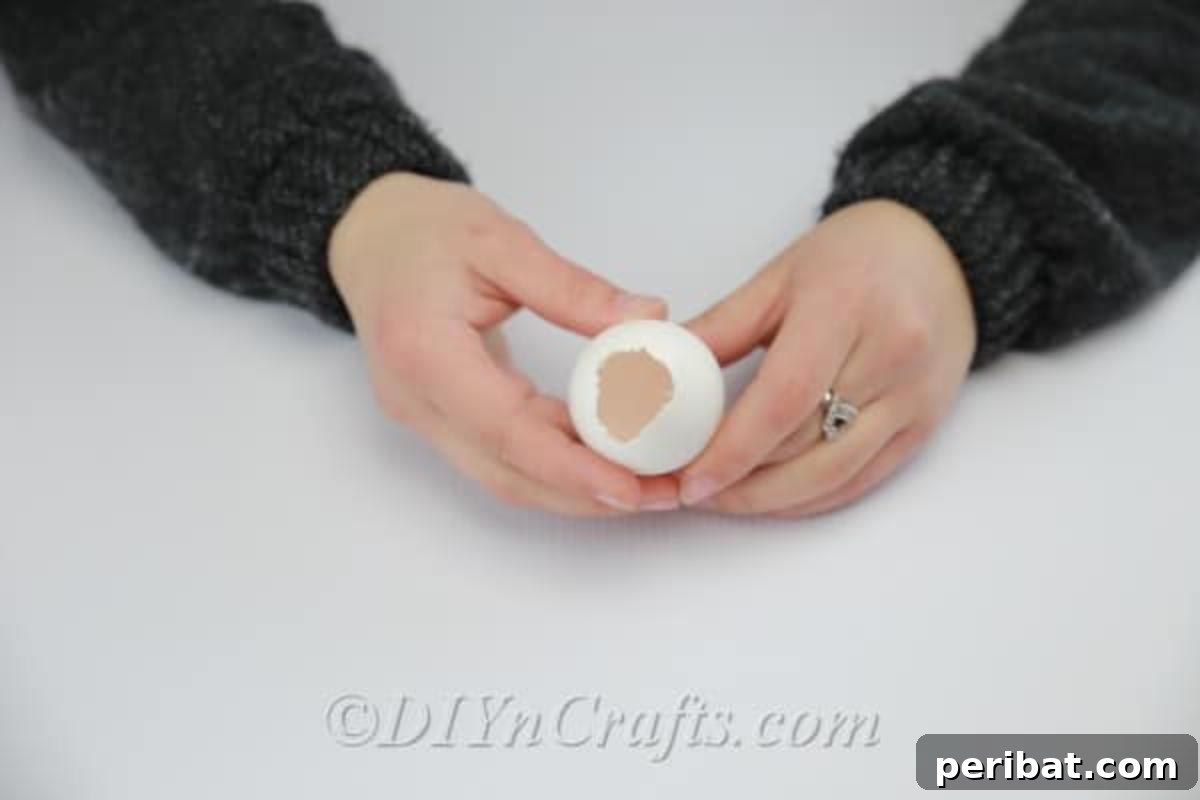 Hatch a DIY Easter Egg Planter 6 Finished, emptied eggshell.