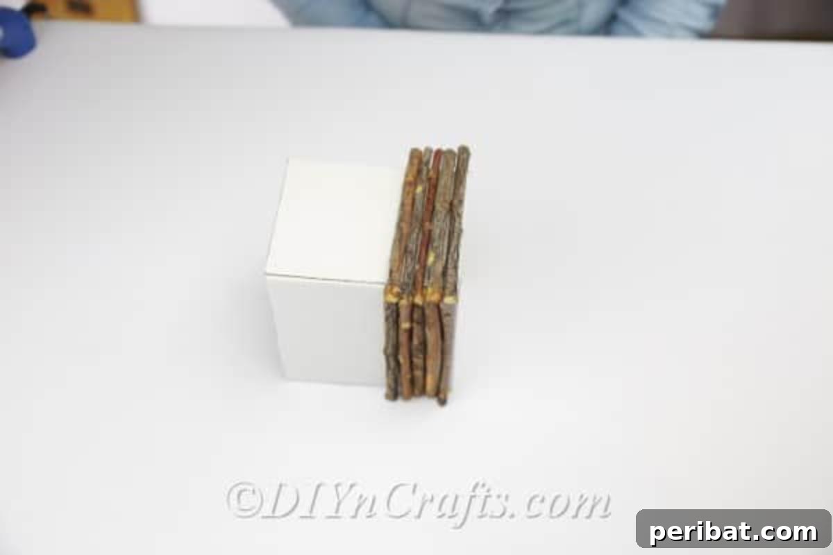 Create Beautiful Rustic Floral Displays for Easter 9 All four sides of the box now adorned with rustic sticks, creating a natural base.