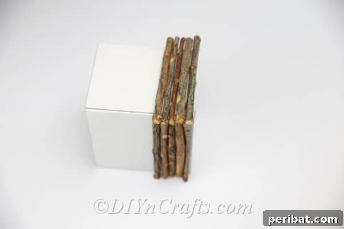 Create Beautiful Rustic Floral Displays for Easter 10 Close-up view of the completed stick application on the box.