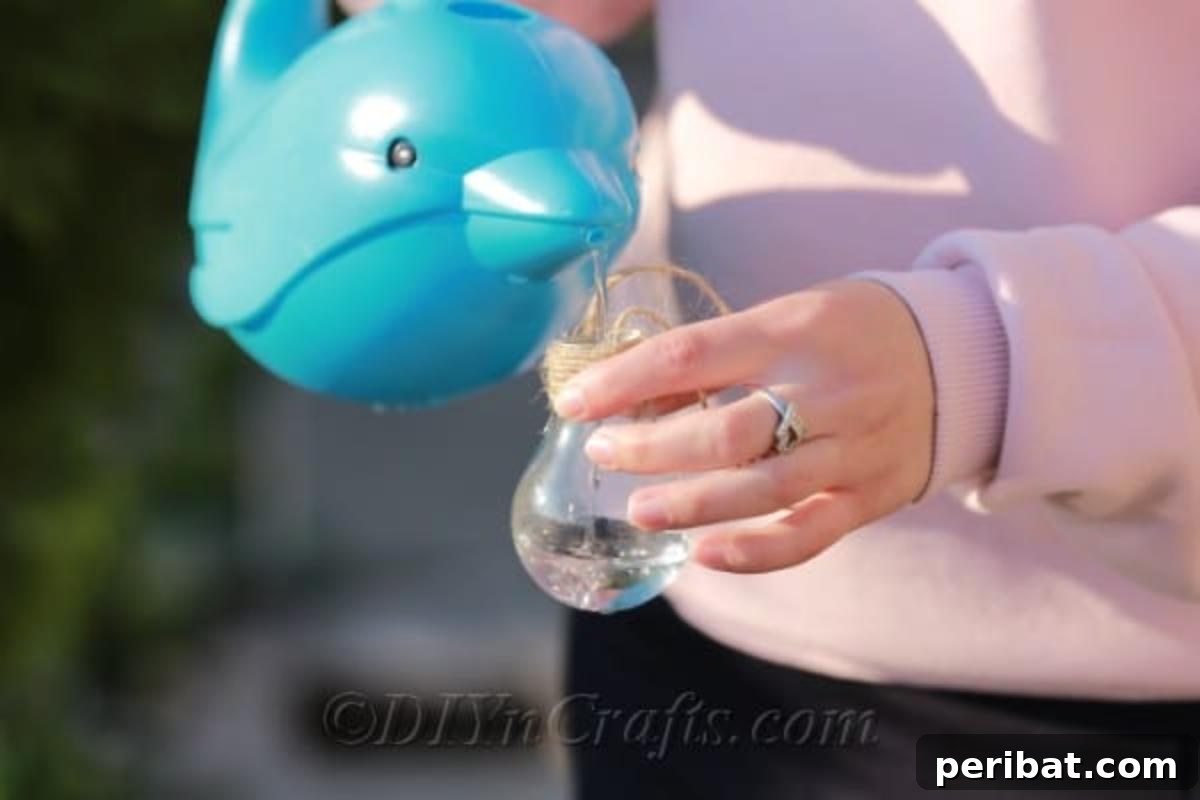DIY Lightbulb Planter Perfect for Spring 13 Fill the bulb with water for plants