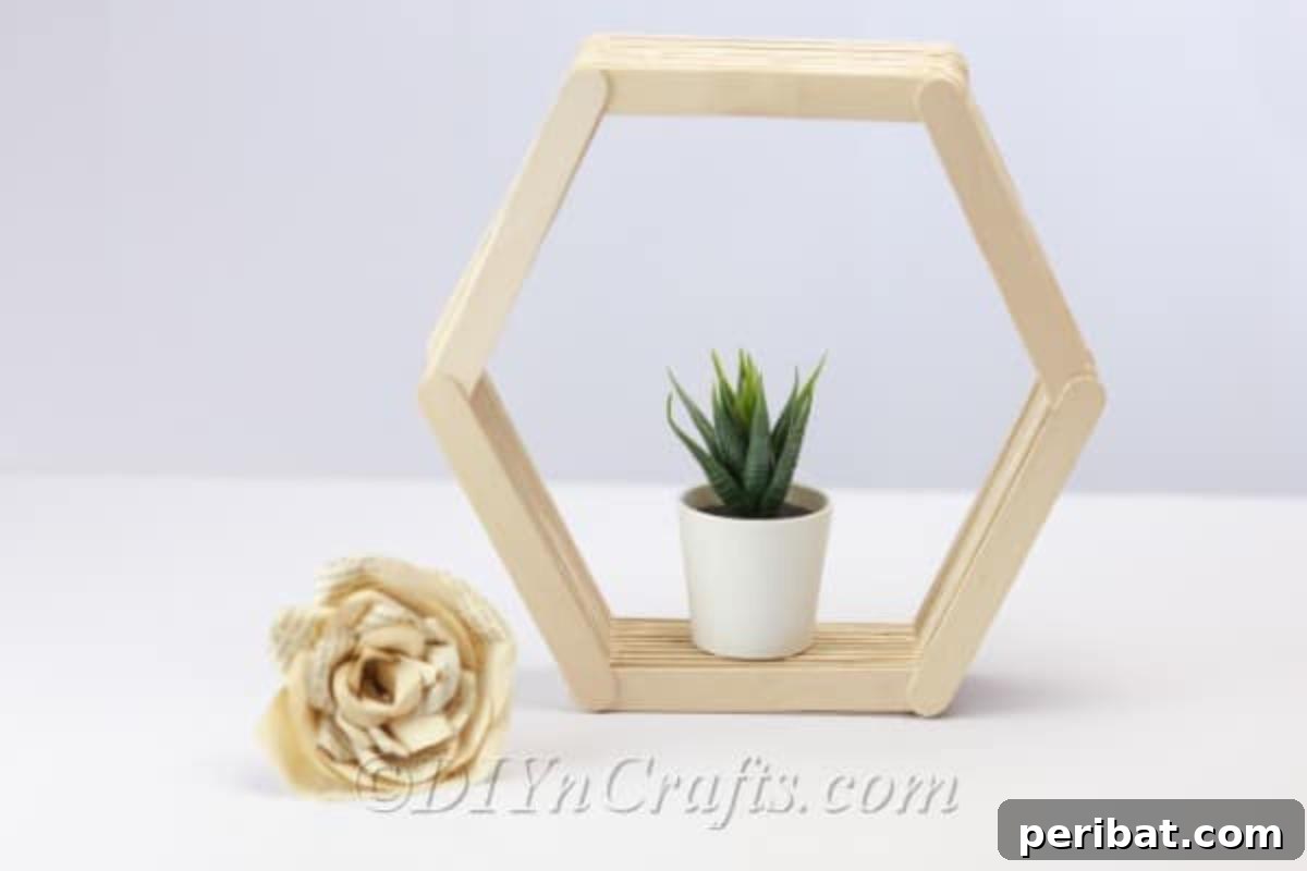 Finished hexagon shelf with plant