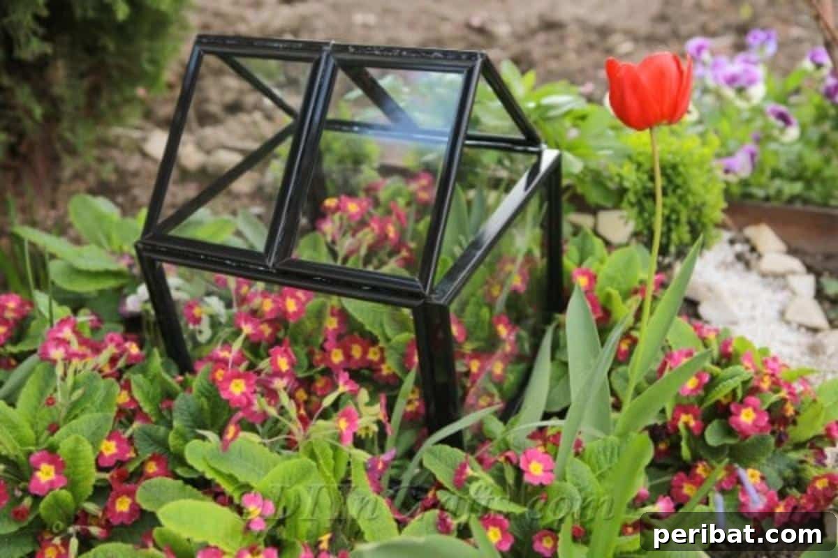 Repurpose Old Picture Frames Into A Delightful Mini Greenhouse 2 Finished DIY miniature greenhouse made from picture frames, showcasing its elegant design and potential for indoor or outdoor display.