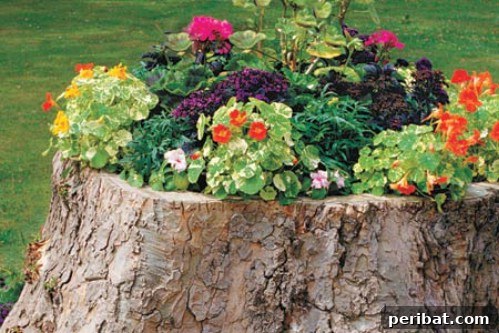 Ingenious Space-Saving Tips for Tiny Gardens 13 Natural Tree Stump Planter - Garden Upcycling