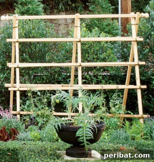 Ingenious Space-Saving Tips for Tiny Gardens 22 Vertical Garden Trellis - Climbing Plant Support