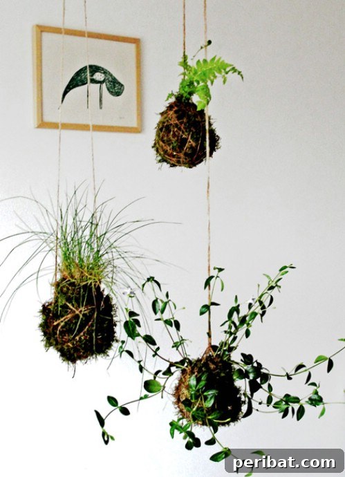 Ingenious Space-Saving Tips for Tiny Gardens 24 Kokedama Suspended Garden - Unique Hanging Plants