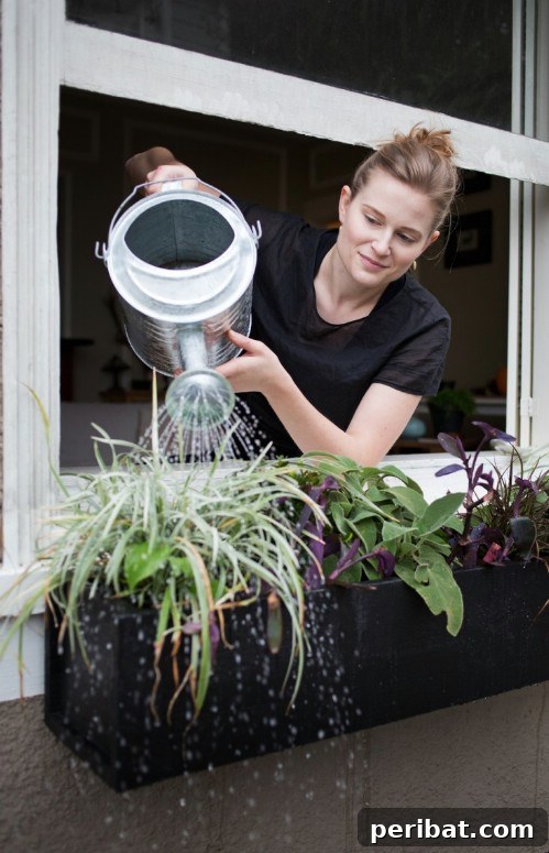 Ingenious Space-Saving Tips for Tiny Gardens 38 Beautiful Window Boxes - Exterior Home Decor