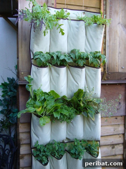 Ingenious Space-Saving Tips for Tiny Gardens 5 Shoe Organizer Vertical Garden - Apartment Gardening