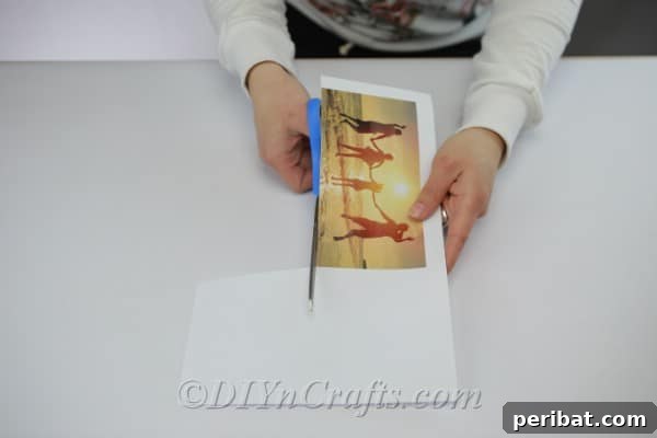 Trimming the edges from a photograph