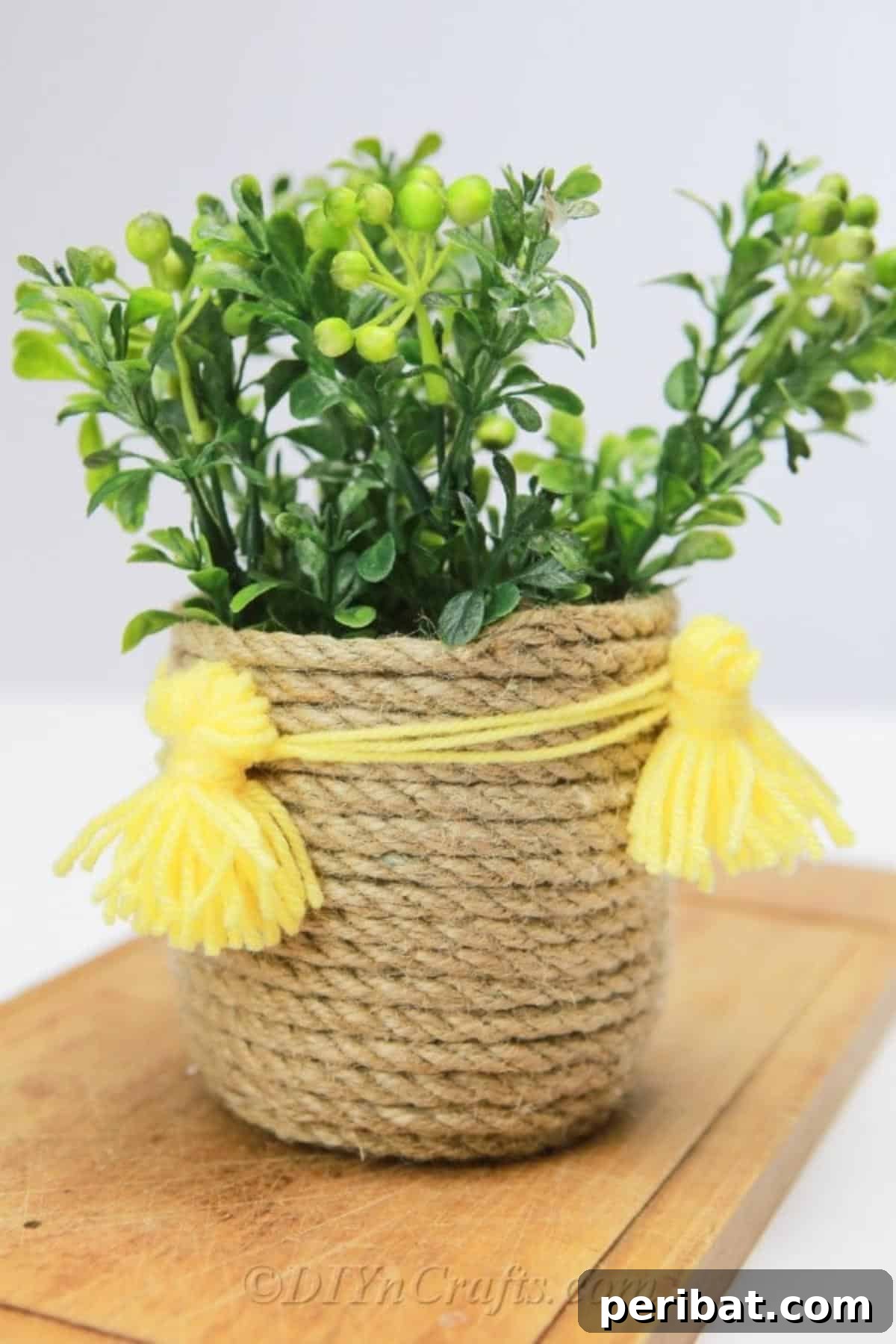 DIY Rope Baskets Elevate Your Storage Style 4 Close-up shot of a textured rope basket holding small succulent plants, highlighting its detailed craftsmanship.