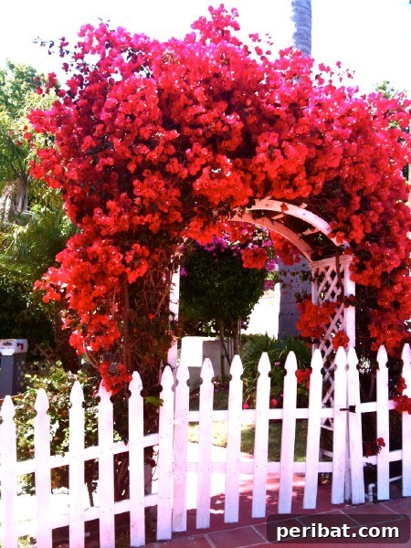 Elevate Your Exterior 150 Genius Projects to Maximize Curb Appeal 102 Create A Botanical Archway - 150 Remarkable Projects and Ideas to Improve Your Home's Curb Appeal