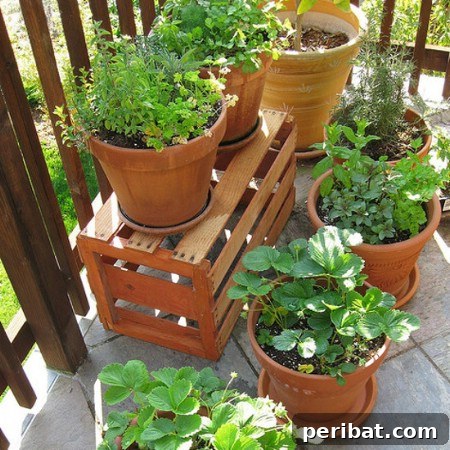 Elevate Your Exterior 150 Genius Projects to Maximize Curb Appeal 16 Add A Container Garden - 150 Remarkable Projects and Ideas to Improve Your Home's Curb Appeal