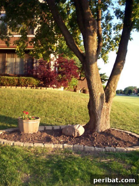 Elevate Your Exterior 150 Genius Projects to Maximize Curb Appeal 20 Cover Bare Spots - 150 Remarkable Projects and Ideas to Improve Your Home's Curb Appeal
