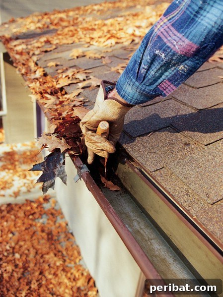 Elevate Your Exterior 150 Genius Projects to Maximize Curb Appeal 26 Clean the Gutters - 150 Remarkable Projects and Ideas to Improve Your Home's Curb Appeal