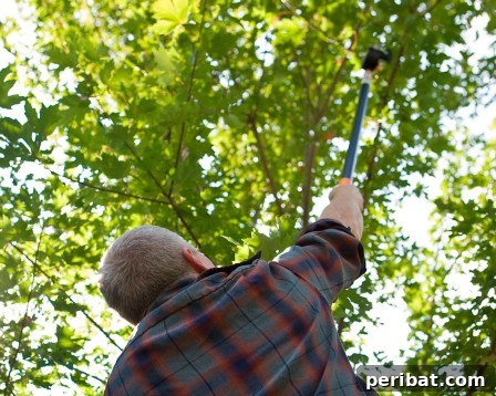 Elevate Your Exterior 150 Genius Projects to Maximize Curb Appeal 40 Trim Tree Branches - 150 Remarkable Projects and Ideas to Improve Your Home's Curb Appeal
