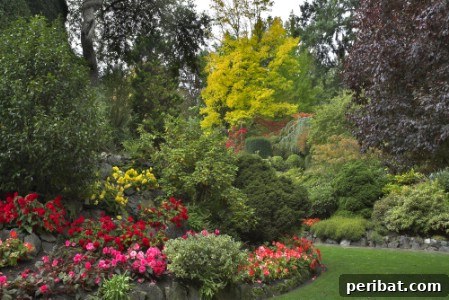 Elevate Your Exterior 150 Genius Projects to Maximize Curb Appeal 49 Plant Trees - 150 Remarkable Projects and Ideas to Improve Your Home's Curb Appeal