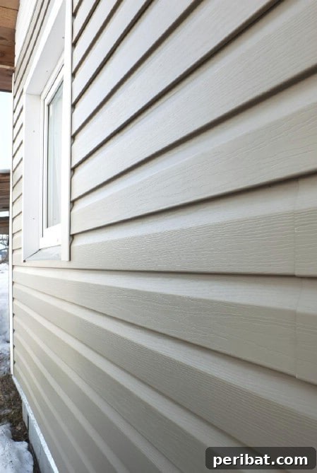 Elevate Your Exterior 150 Genius Projects to Maximize Curb Appeal 62 Repair Damaged Siding - 150 Remarkable Projects and Ideas to Improve Your Home's Curb Appeal