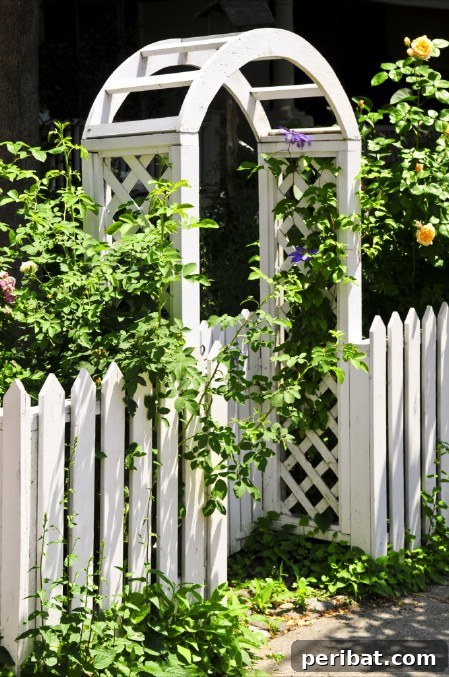 Elevate Your Exterior 150 Genius Projects to Maximize Curb Appeal 64 Plant Vines - 150 Remarkable Projects and Ideas to Improve Your Home's Curb Appeal