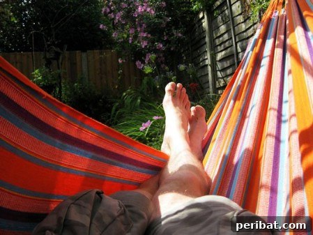 Elevate Your Exterior 150 Genius Projects to Maximize Curb Appeal 68 Build A Hammock - 150 Remarkable Projects and Ideas to Improve Your Home's Curb Appeal