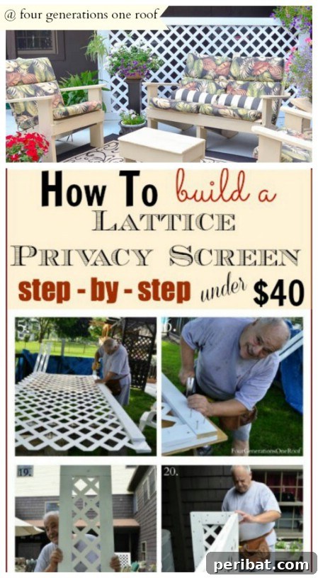 Elevate Your Exterior 150 Genius Projects to Maximize Curb Appeal 75 Create A Lattice Screen - 150 Remarkable Projects and Ideas to Improve Your Home's Curb Appeal