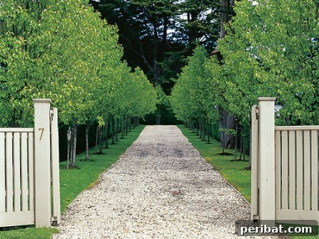 Elevate Your Exterior 150 Genius Projects to Maximize Curb Appeal 76 Line The Driveway With Trees - 150 Remarkable Projects and Ideas to Improve Your Home's Curb Appeal
