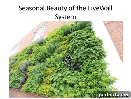Elevate Your Exterior 150 Genius Projects to Maximize Curb Appeal 79 Create A Living Wall - 150 Remarkable Projects and Ideas to Improve Your Home's Curb Appeal