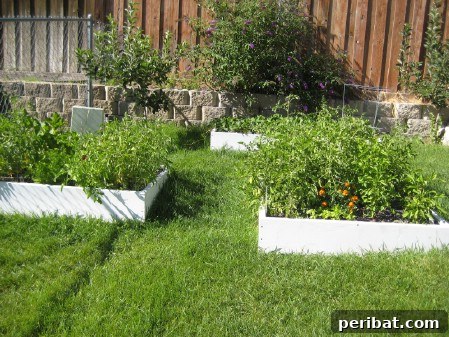 Elevate Your Exterior 150 Genius Projects to Maximize Curb Appeal 89 Build Planter Boxes - 150 Remarkable Projects and Ideas to Improve Your Home's Curb Appeal