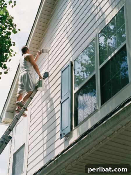 Elevate Your Exterior 150 Genius Projects to Maximize Curb Appeal 10 Paint Your House - 150 Remarkable Projects and Ideas to Improve Your Home's Curb Appeal