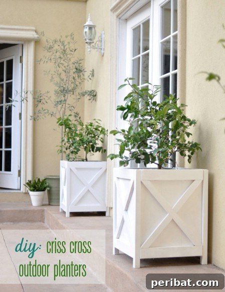 Elevate Your Exterior 150 Genius Projects to Maximize Curb Appeal 100 Build Rustic Criss-Cross Planters - 150 Remarkable Projects and Ideas to Improve Your Home's Curb Appeal