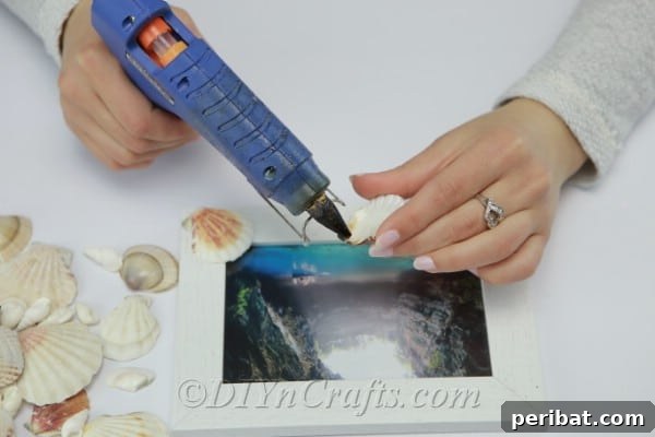 Gluing seashells onto a picture frame