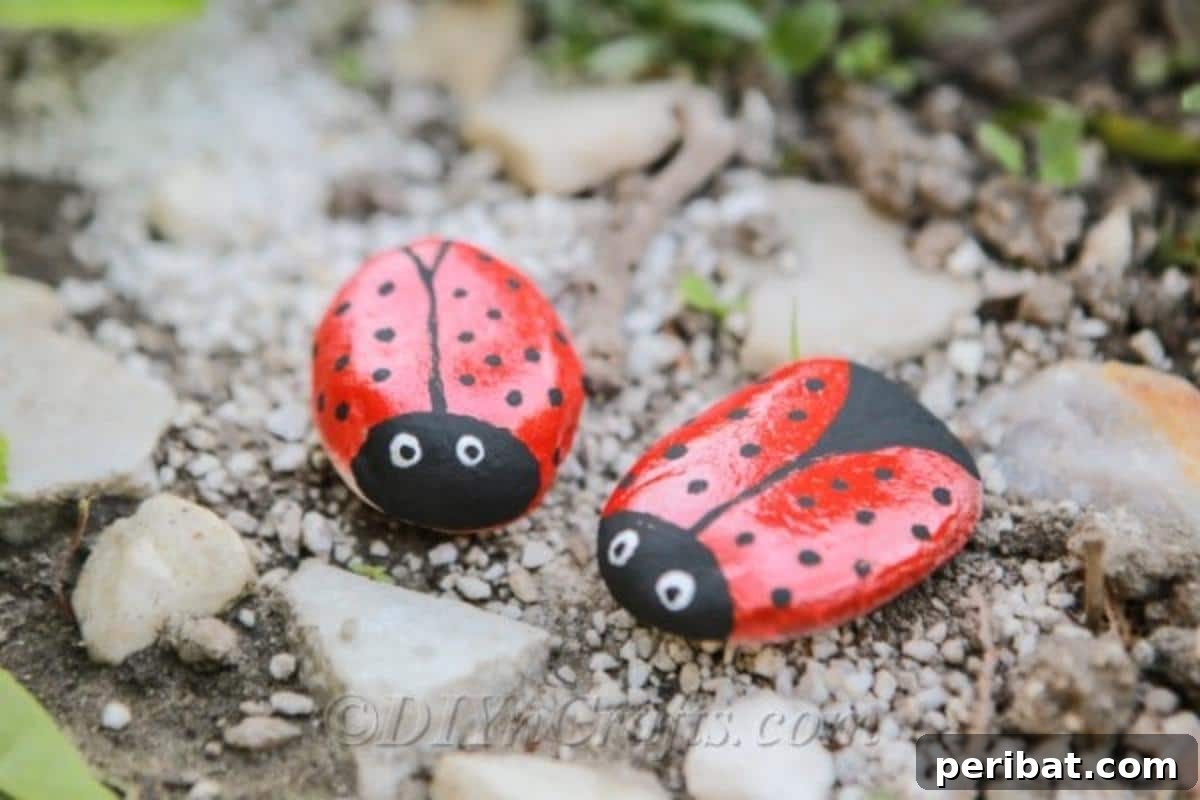 Whimsical Ladybug Stone Art 4 Two ladybug rocks in the gravel