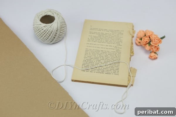 Removing pages from an old book for crafting